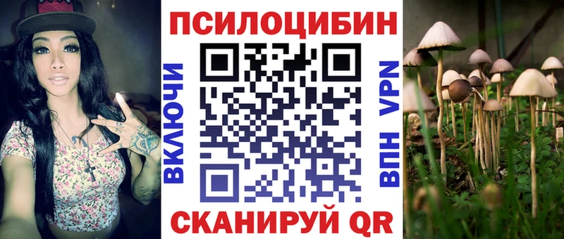 Галлюциногенные грибы прущие грибы  купить наркоту  Орск 