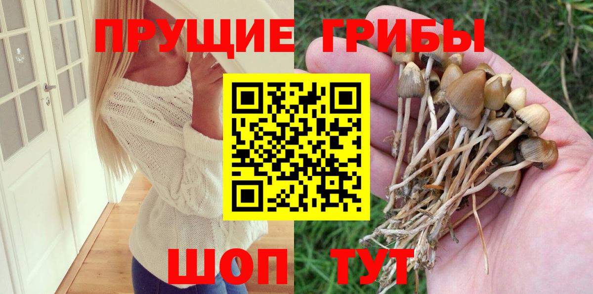 Псилоцибиновые грибы Psilocybine cubensis  Вход с VPN  Орск  Псилоцибиновые грибы прущие грибы 