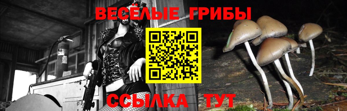 магазин продажи наркотиков  Орск  Галлюциногенные грибы мухоморы 