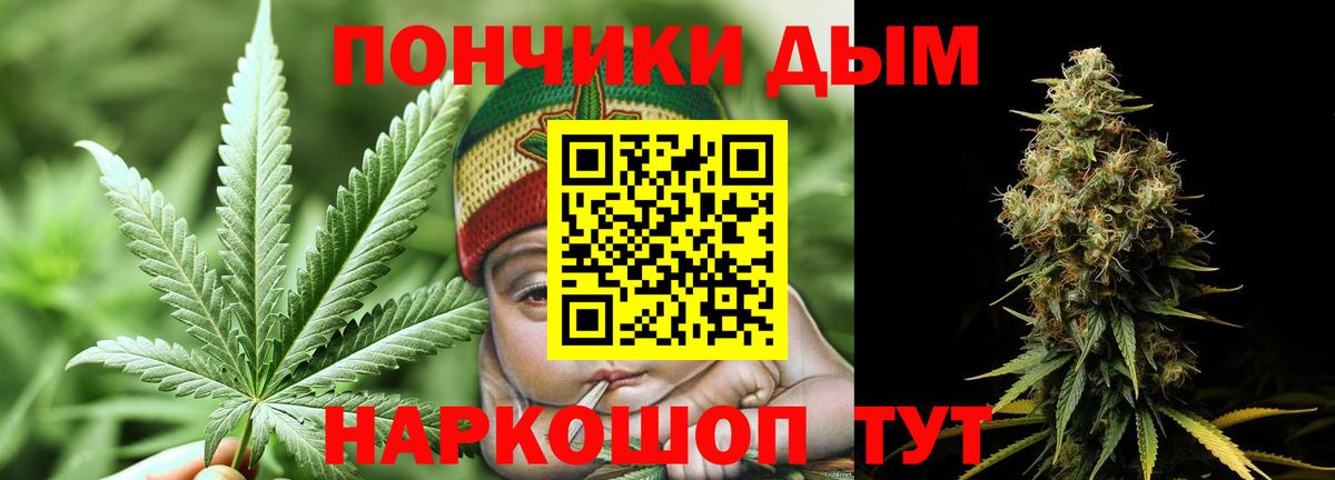 Шишки марихуана ГИДРОПОН  МАРИХУАНА сатива  Орск  Канабис конопля  Вход с VPN 